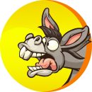 donkey tube e1778749393544